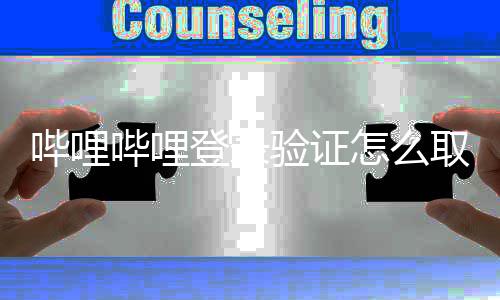哔哩哔哩 哔闭登哩哔哩关录验登录怎么证教验证程取消